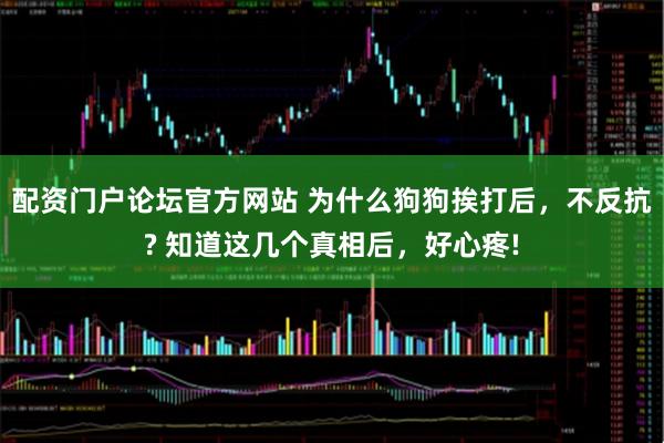 配资门户论坛官方网站 为什么狗狗挨打后，不反抗? 知道这几个真相后，好心疼!